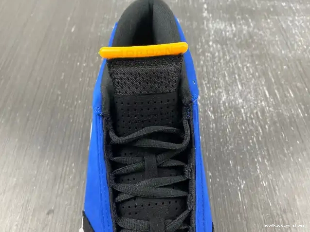 Jordan 487471-407 14 Laney Retro 0427